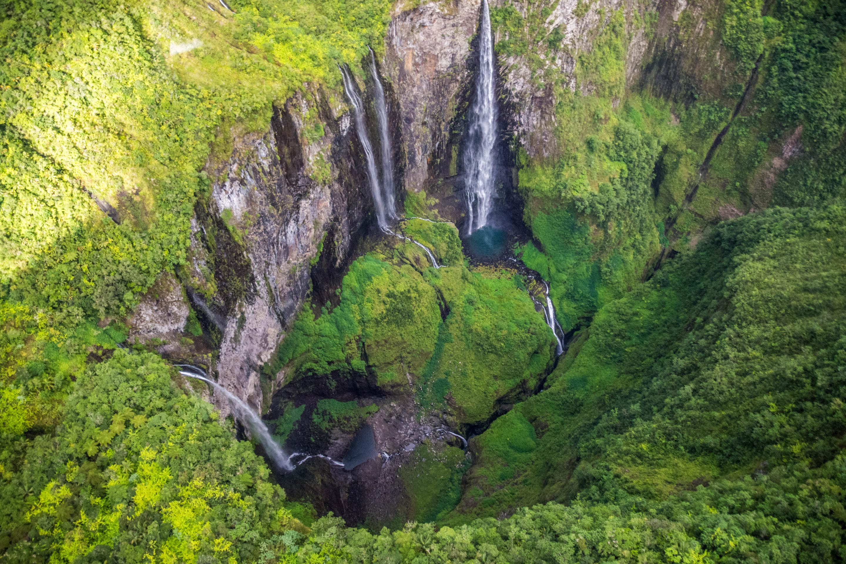 Trou de fer île de la réunion